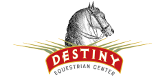 Destiny Morgan Farm logo