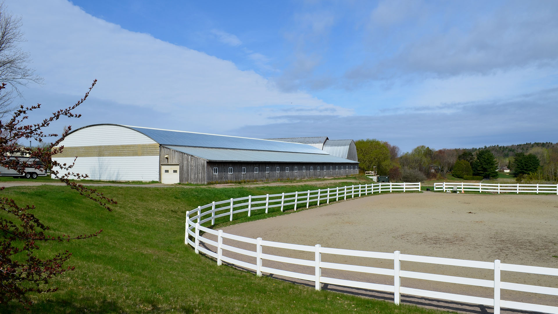 Destiny Morgan Farm horse boarding lessons leasing